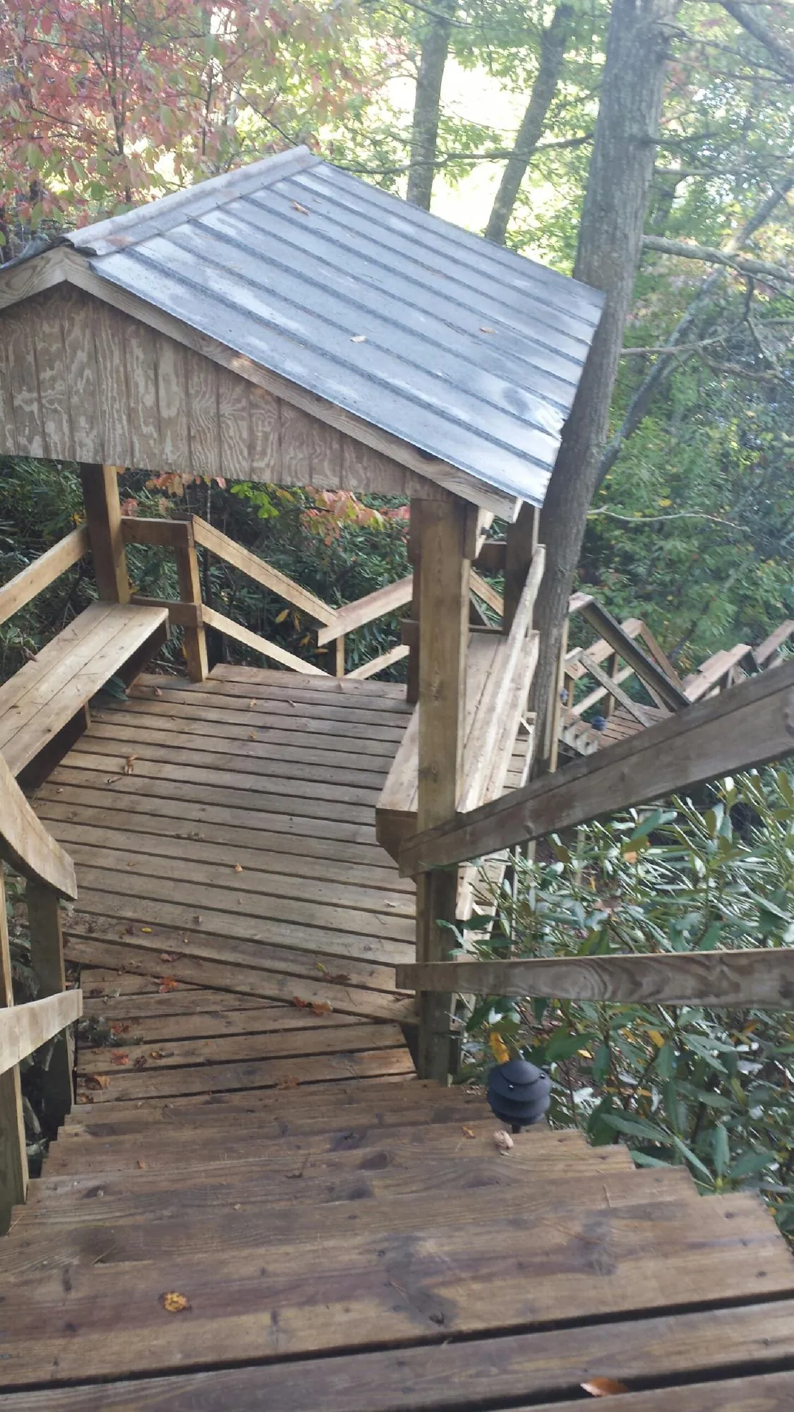 Metal roofed shelter over wooden steps on a wooded walkway — Skylight Repair & Installation work by our crew in Berry